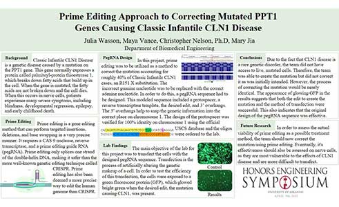 Prime-Editing Approach to Creating and Correcting Mutated PPT1 Genes in Classic Infantile CLN1 Disease