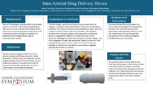 Intra-Arterial Drug Delivery