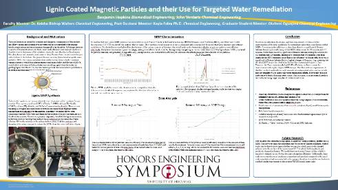 Lignin Coated Magnetic Particles and their Use for Targeted Water Remediation