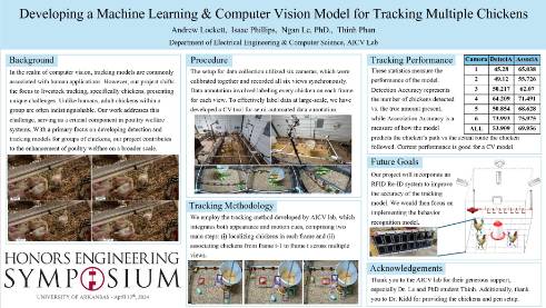 Developing a Computer Vision Model for Multiple Cameras - Tracking Multiple Chickens