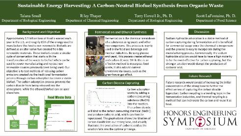 Sustainable Energy Harvesting: A Carbon-Neutral Biofuel Synthesis from Organic Waste
