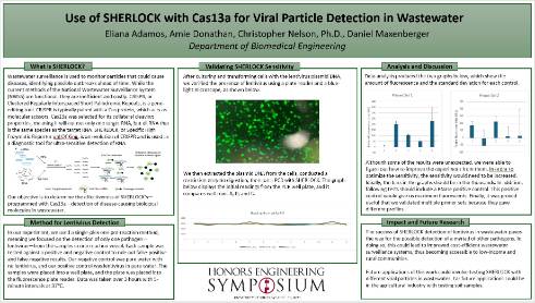 Use of SHERLOCK with Cas12a for viral particle detection in wastewater
