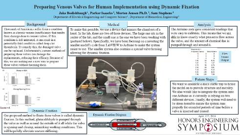 Preparing Venous Valves for Human Implementation using Dynamic Fixation