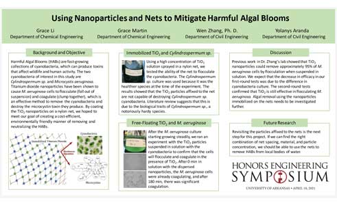 Using Nets and Nanoparticles to Mitigate Harmful Algal Blooms