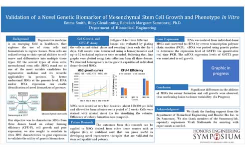 Validation of a Novel Genetic Biomarker of Mesenchymal Stem Cell Growth and Phenotype In Vitro