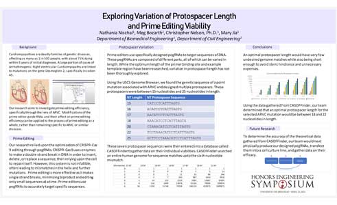 Exploring Variation of Protospacer Length and Prime Editing Viability