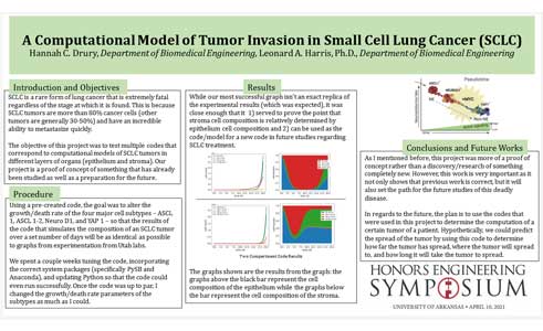 A computational model of tumor invasion in small cell lung cancer (poster image)